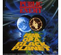 Public Enemy - Fear of a Black Planet