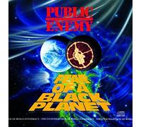 Public Enemy - Fear Of a Black Planet LP Vinilo Ims