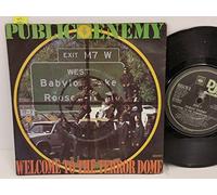 PUBLIC ENEMY welcome to the terrordome, PICTURE SLEEVE, 7 inch single, 6554760