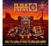 Public Enemy - What You Gonna Do When The Grid Goes Down?
