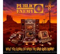 Public Enemy What You Gonna Do When the Grid Goes Down? (CD) (Importación USA)