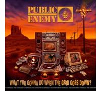 Public Enemy What You Gonna Do When the Grid Goes Down (Vinyl) (Importación USA)