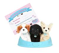 Pucci Pals Adopta un Cachorro, Perritos de Peluche con Cama, Tema 3 | Incluye 3 perritos de peluche: Shih Tzu, Chihuahua y Poodle, con cama para perro y certificado de adopción, 2 años y +
