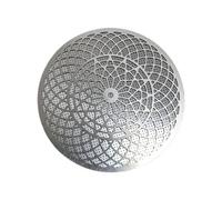 Puck Screen Portafilter Filtration 2.01inch Stainless Steel | Coffee Dispersion Screen For Baristas Stainless SteCollectors Beginners Professionals Home Shop Cafes Tasting Sessions Office