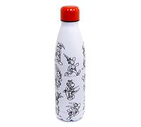 Puckator Bouteille Isolée (Gourde) 500ml en Acier Inoxydable pour Boissons Chaudes ou Froides Astérix Termos, Tazas y jarras térmicas, Multicolor, único