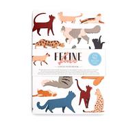 Puckator Cuaderno A5 a rayas de papel reciclado - Gatos - Feline Fine