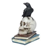 Puckator Figurine Corbeau Debout Sur Crânes et Livres Empilés Marca