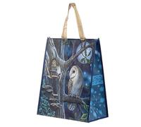 Puckator Sac de Courses Lisa Parker Contes De Fées Fée & Chouette Bolsas de la Compra Reutilizables, Multicolor, único