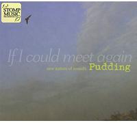 Pudding - New Nature of Sounds