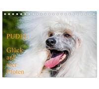 Pudel - Glück auf vier Pfoten (Tischkalender 2026 DIN A5 quer), CALVENDO Monatskalender: Auf 13 traumhaft schönen Fotos zeigt die Tierfotografin Sigrid Starick diese alte schöne Hunderasse
