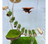 Puente de Cuerda de araña, un Puente Colgante de Escalada de Madera Maciza, un Accesorio de recinto de araña saltadora, Hecho a Mano, una Plataforma de Salto de araña, Utilizado como un Accesorio