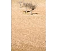 Puentes: Building Your Spanish: The Essential Guide to Confident Communication at A2 (LINGUA PRIME: The Modern Language Accelerator)