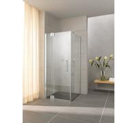 Puerta batiente Kermi PASA XP 1WL 11020, PX1WL11020VPK, Color: Plata Alto Brillo Vidrio Real Claro Limpio