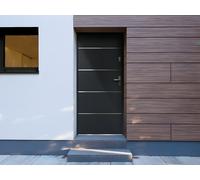 Puerta de entrada de acero y inox Alt. 207 x Ancho 100 cm antracita - se abre hacia la izquierda NAXARA