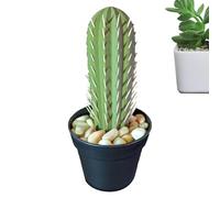 Puerta de palillo con temática de plantas - organizador de mesa, palitos de dientes de cactus impresos | Almacenamiento decorativo de resina