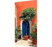 Puerta Diamond Painting Kit Completo, 5D Diamond Painting Árbol Pintura Diamante Adultos, Fai da Te Strass Bordado de Punto de Cruz Puzzle Pintura Diamante pour Decoración Pared Hogar 50x100cm i2-ed3