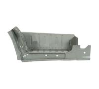 Puerta, estribo BLIC 6505-06-2509057P