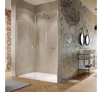Puerta pivotante HÜPPE Solva, con panel lateral, en hueco, parcialmente enmarcada, fijación a la izquierda, ancho 1200mm, alto 2000mm, S22904092315, Cabinas de ducha: Color del perfil plata brillo int