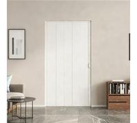 Puerta Plegable Corredera - Sistema Moderno sin Riel Inferior - Moubhjd Fabricada en PVC y Acrílico - Personalizable para Cocina, Baño, Despensa y Diviso（A due ante,Size：W:250 x H:180cm）