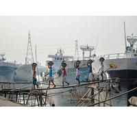 Puerto Ocupado: Juego de Rompecabezas de 8000 Piezas para Adultos, educación Familiar, Desarrollo Intelectual y Alivio del estrés (Mayores de 14 años)