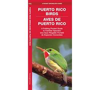 Puerto Rico Birds/Aves de Puerto Rico (Bilingual): A Folding Pocket Guide to Familiar Species/Una Guia Plegable Portail de Especies Conocidas (Nature Observation International)