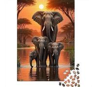 Puesta del Sol de la Familia del Elefante 1000 Piezas Cartón Grueso Paquete De Rompecabezas Amantes De La Familia Alivio del Estrés 70x50cm/1000pcs