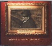 Puff Daddy / Puff Diddy / P. Diddy - I'll Be Missing You