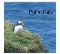 Puffin Pals - Calendario de pared (30 x 60 cm, 2026, 12 x 60 cm), diseño de CALVENDO