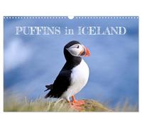 Puffins in Iceland (Wall Calendar 2026 DIN A3 Landscape), CALVENDO 12 Month Wall Calendar