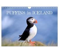 Puffins in Iceland (Wall Calendar 2026 DIN A4 landscape), CALVENDO 12 Month Wall Calendar: Discover Iceland's beautiful puffins