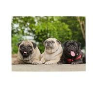 Pug Amistad Bokeh Perros Mascotas Amigos Pug Adultos Rompecabezas de 500 Piezas - Rompecabezas de Madera para Adultos Mayores