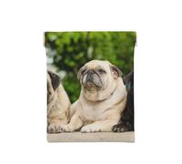Pug Amistad Bokeh Perros Mascotas Amigos Pug, Squeeze Top Wallet Bolsa de Almacenamiento para Mujer Monedero pequeño Bolsa de Cambio