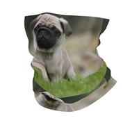 Pug Bokeh Cachorro Perros Césped Mascotas Pug, Bandana, Polaina para el Cuello, Cubierta Suave para la Cara, Calentador de Cuello, Tubo, Media mascarilla, Bufanda, pasamontañas