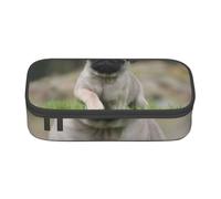 Pug Bokeh Cachorro Perros Césped Mascotas Pug, Estuche para lápices, Estuche para lápices Estuche para lápices de Gran Capacidad Estuche para cosméticos
