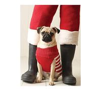 Pug Elf Half Note: Half Note Boxed Cards