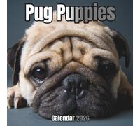 Pug Puppies Calendar 2026: 14-Month Organizer from Nov 2025 to Dec 2026 | Perfect for Home, Office, School & Family Scheduling, For Men , Women , Girls , Boys