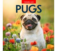 Pugs 2026 Calendar: Playful Faces and Big Personalities