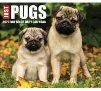 Pugs 2027 Box