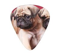 Pugs Sofás Mantas Fotografías a color,12 púas de guitarra, 3 grosores diferentes para guitarra acústica, bajo y ukelele