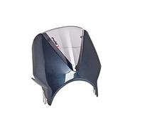 Puig 003CH Carenabris Vision Ahumado