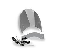 Puig 0131H Carenabris Roadster Ahumado