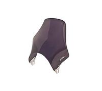 Puig 0869F Carenabris Naked Ahumado Oscuro