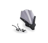 Puig 20619H New Generation Touring PMMA Touring 4 mm, Ahumado
