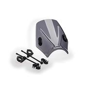 Puig 20702F Carenabris Mito Ahumado Oscuro