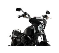 Puig 21049W Batwing SML Sport Accesorio específico, Transparente