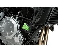 Puig Recambios Protector de Motor R19