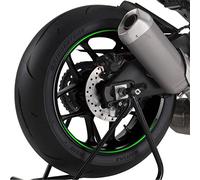 PUIG - 8431V : Juego 8 Tiras en Arco Premium Color Verde