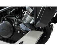 Puig Protectores de Motor R19