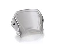 Puig 9798P Placa Frontal ABS Accesorio específico, Plata
