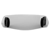 Puig Disco spoiler ClipOn